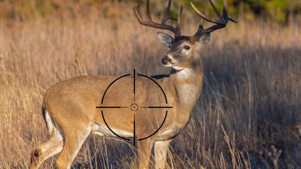 Deer-Hunting