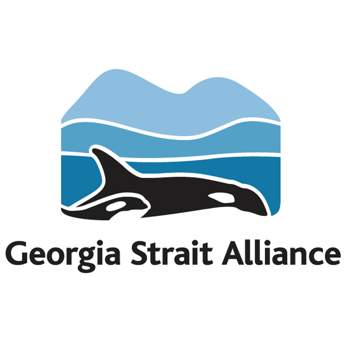 Geargia Strait Alliance-square