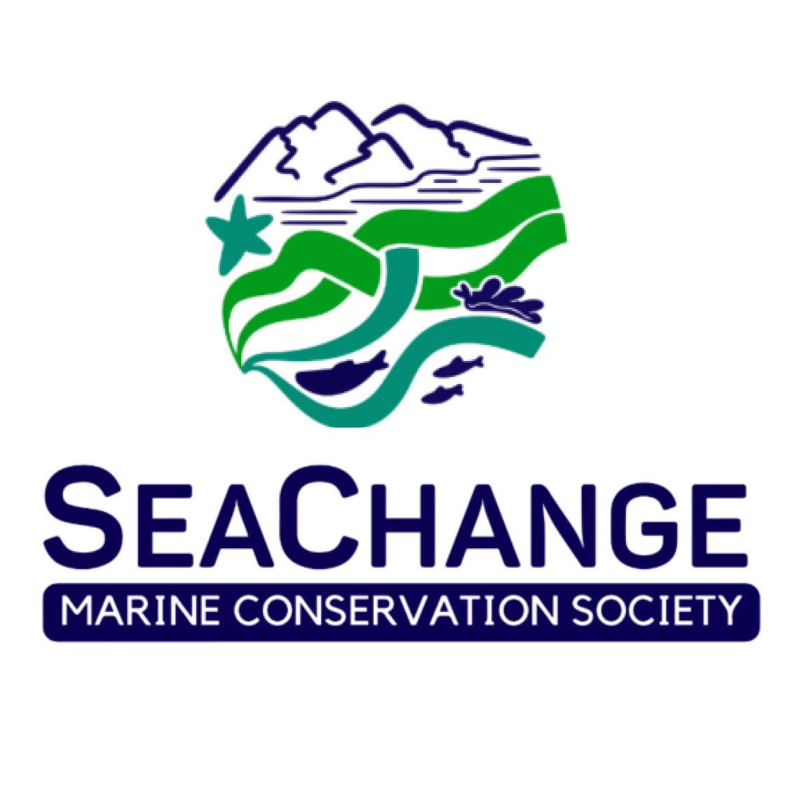 Seachange