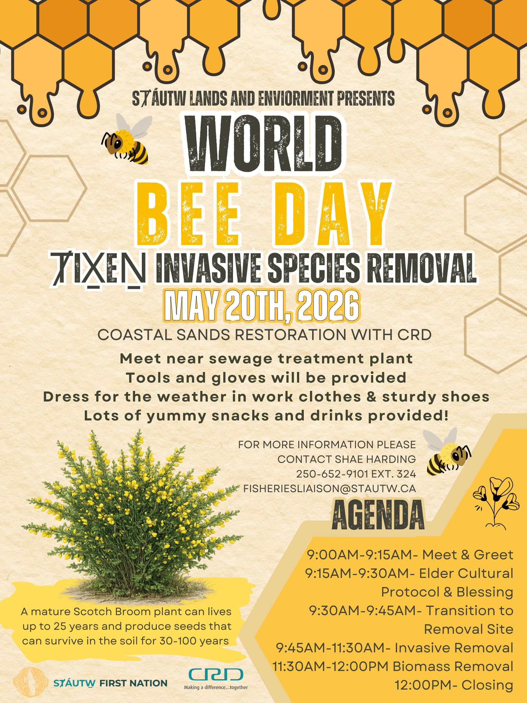 bee Day